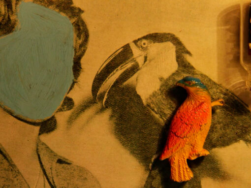 Fotograma a fotograma: animación artesanal en stop motion